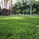 carmel-valley-synthetic-turf