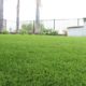 cowan-backyard-turf