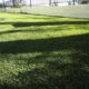 artificial-grass-carlsbad