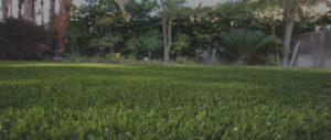 synthetic-turf